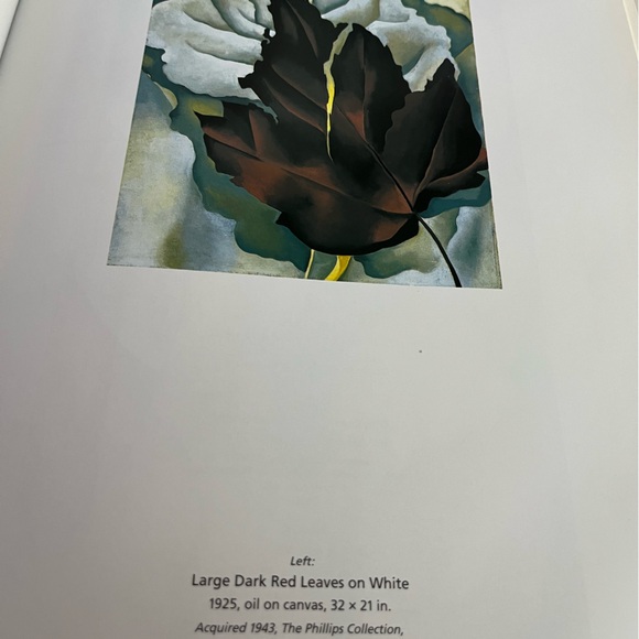 Barnes & Noble Georgia O'Keeffe Art Book - Blue and Cream - Picture 9 of 12